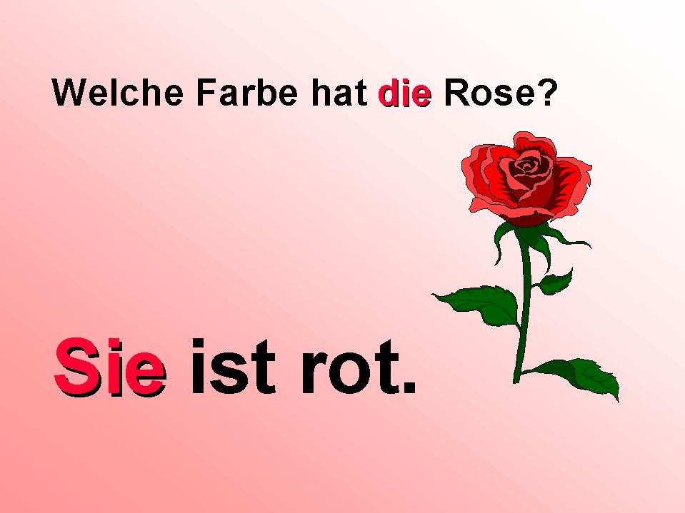What color is the rose?  It is red.