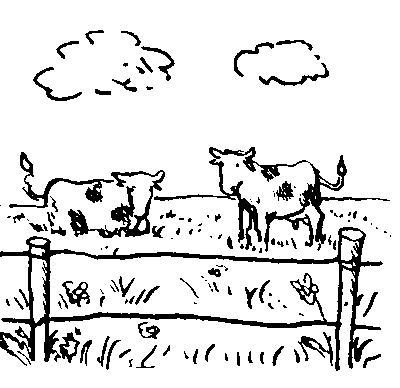 cow pasture