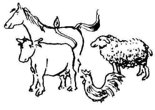 Livestock